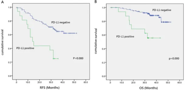 Figure 2: Prognostic significance of PD-L1 expression in lung adenocarcinoma.  (A) Recurrence free survival in patients with  positive or negative programmed cell death ligand (PD-L1) expression