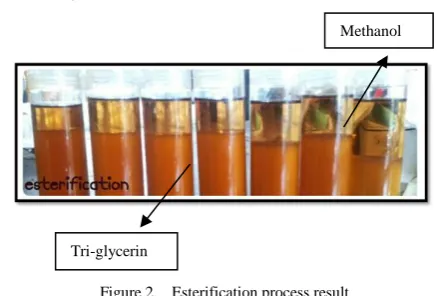 Figure 2. Esterification process result 