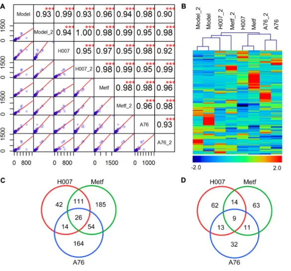 Figure 2: Summary of RNA-seq analysis.  (A) Correlation analysis between replications and experimental groups