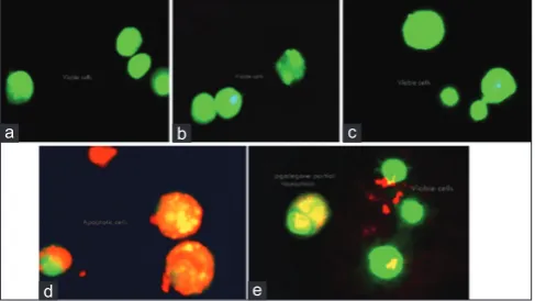 Table 1: Effect of Morus alba leaf fractions on H2O2-induced cell death in U87MG cell lines (n = 3)