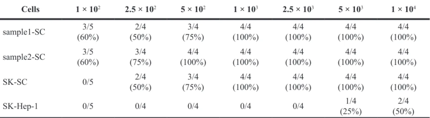 Table 1: Tumorigenicity of sphere cells in NOD/SCID mice
