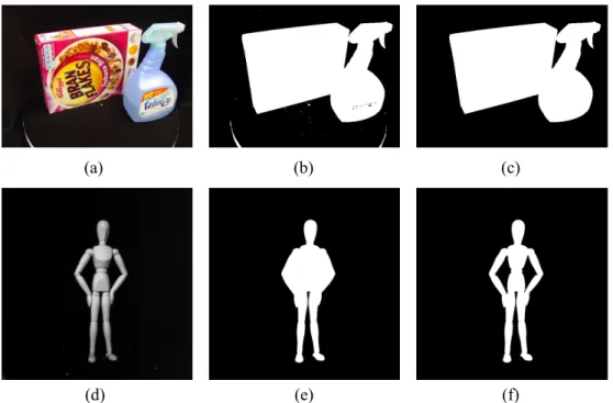 Figure 2.5: Example of silhouette detection: (a) objects with non-homogeneous texture; (b) thresholding result of (a); (c) a silhouette is estimated by applying the flood-seeding algorithm to the largest occluding contour; (d) an object with homogeneous te