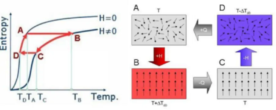 Figure 1.2.1: The magnetocaloric effect is shown here in a temperature entropy diagram and provided with illus-