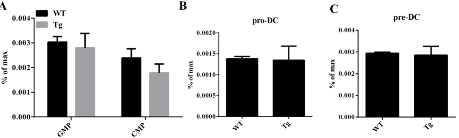 Figure 3: GMP, CMP, ProDC, and PreDCs in miR-34a transgenic mice.  A. Percentage of GMP (Lin - C-kit + Sca1 - CD16/32 + CD34 + ) 