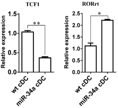 Figure 6: Expression of TCF1 and RORrt in miR-34a overexpressed DCs.  Expression of TCF1 and RORrt genes in WT cDCs  and miR-34a overexpressed cDCs were detected by real time PCR