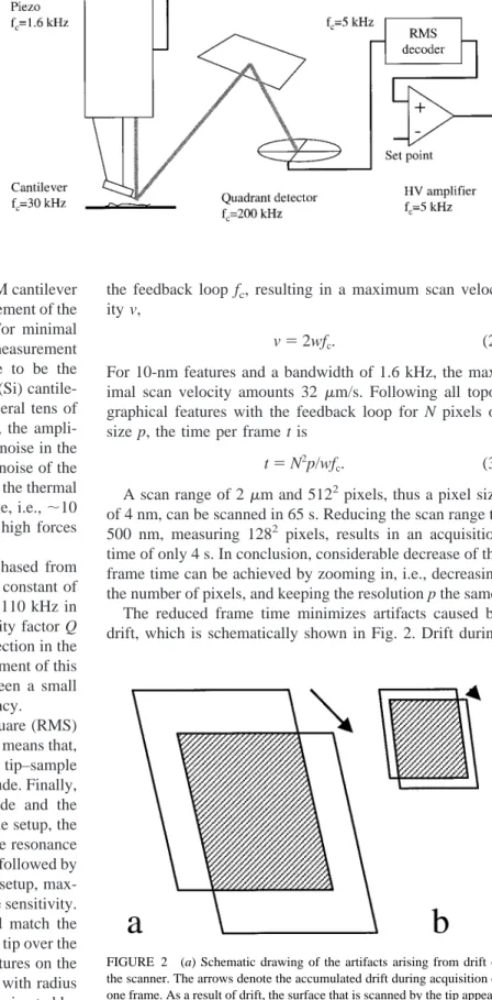 FIGURE 1 Schematic drawing of the AFM setup. The bandwidth is given for each component