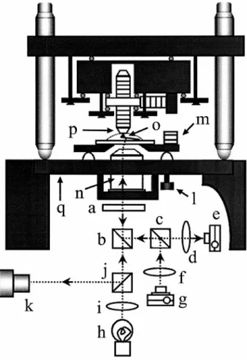 Fig. 2. Scanner assembly. (Lower) The side view when looked at the scanner from ⫹x to ⫺x