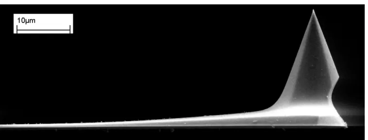 Figure 3:  SEM image showing the geometry of the tip of the probe above.  The tip appears to be  relatively massive in relation to the beam