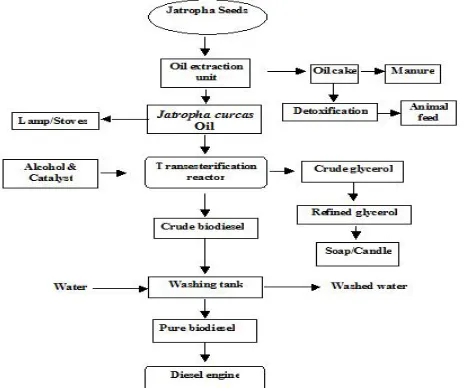 Fig. 1. Process Flowchart for Biodiesel Production  