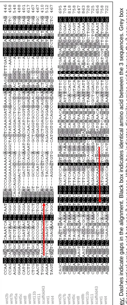 Figure 3.4 Partial nucleotide