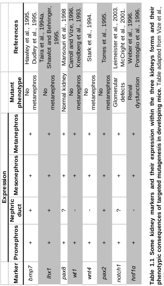 Table adapted from Vize
