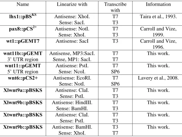Table 2.1 shows the name of the DNA construct, which enzyme is used to linearise  the plasmid, which RNA polymerase is used for in vitro transcription and finally how  the DNA constructs were obtained