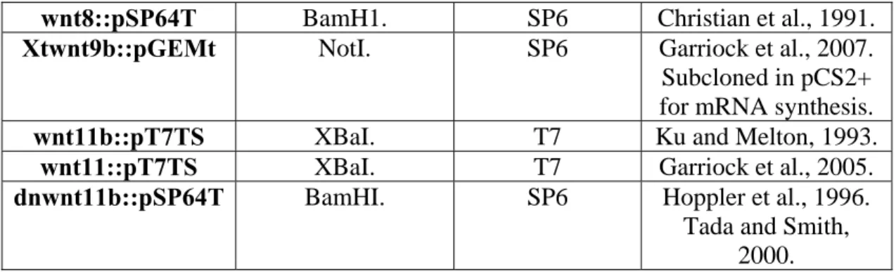Table 2.3 shows the name of the genes and the oligo morpholino sequences used in  this thesis