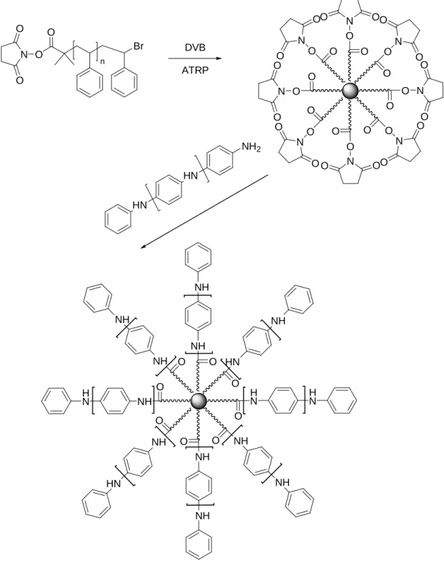 Figure 5 – Synthesis of succinimide functional arm first star polymers and the subsequent
