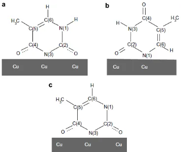 Fig. 2 Some possible adsorption bonding configurations of different thymine-derived 