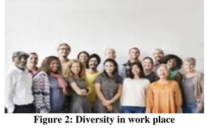 Figure 2: Diversity in work place  