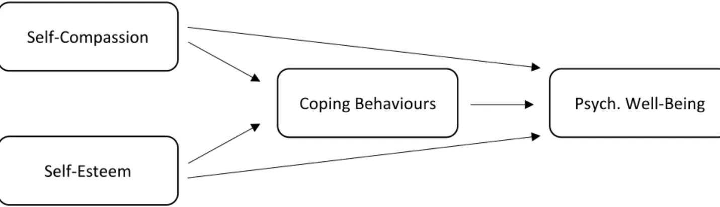 Figure 1. Conceptual model. The relation between self-compassion and psychological well- well-being as well as self-esteem and psychological well-well-being is mediated by coping behaviours