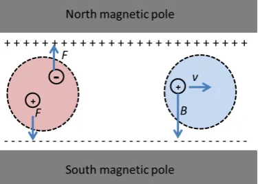 Figure 11: Schematic representation of individual particles subjected to electromagnetic ﬁeld