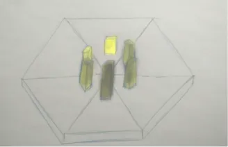 Figure 21: Picture shown together with light intensity question 