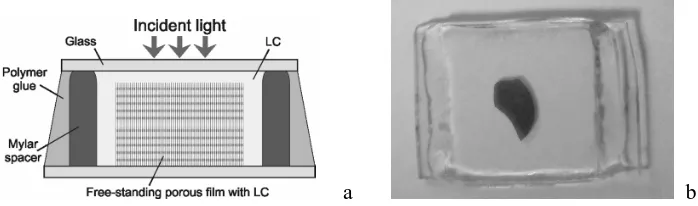 Fig. 1. SEM-FEG pictures of the PSi sample fabricated by us. 