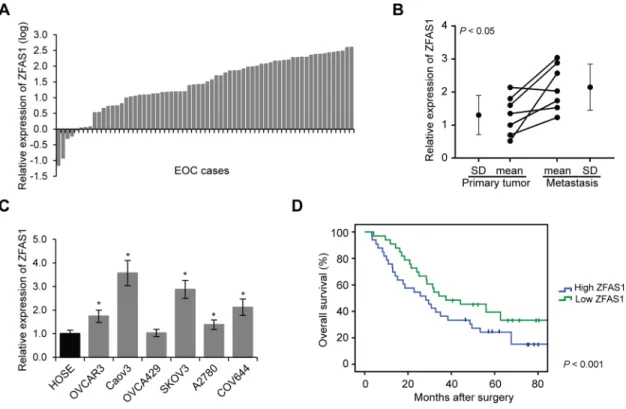 Figure 1: ZFAS1 is upregulated in EOC and associated with poor prognosis.  A. ZFAS1 expression levels was determined by  qRT-PCR in 66 EOC tissues and 10 normal epithelial tissues samples (p<0.001)
