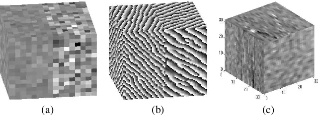 Fig. 1.Volumetric texture examples: (a) A cube divided into two regions with Gaussian noise, (b) A cube divided into two regions withoriented patterns of different frequencies and orientations, (c) A sample of muscle from MRI.