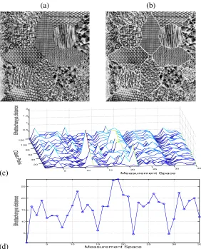 Fig. 4.(a) 16-class natural texture mosaic (image f from Randen [37]). (b) Classiﬁcation result using BS selected features