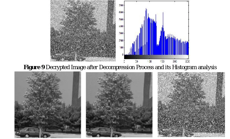 Figure 9  Decrypted Image after Decompression Process and its Histogram analysis 