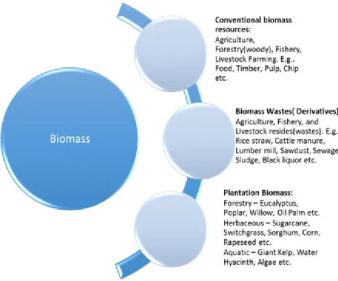 Figure 5. Biomass categorization in terms of use and application. 