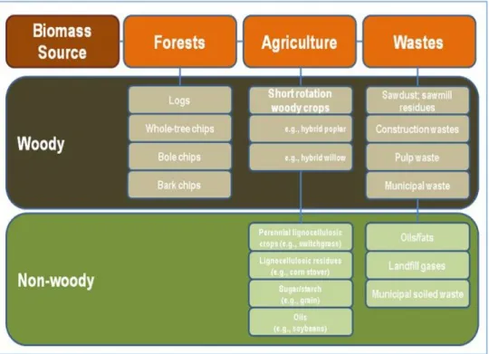 Figure 6. Sources and types of biomass materials for conversion into  bioenergy. (Williams, 2011) 