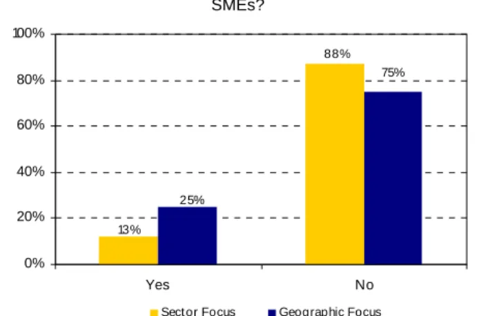 Figure 4.2: Sector-Specific and Geographic Focus in Dealing  with SMEs 