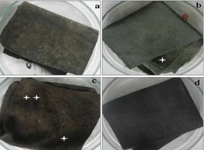 FIG. 6: ANTIFUNGAL ACTIVITY OF MICROSPHERES OF ACORUS CALAMUS NIGER ATCC 16888 a) CONTROL b) MICROSPHERES (20 mg) 