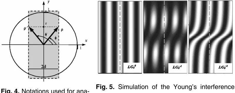 Fig. 5. Simulation of the Young’s interference fringes for the vortexless, singly-charged  (m = –1) and the doubly-charged (m = –2) Laguerre-Gaussian modes