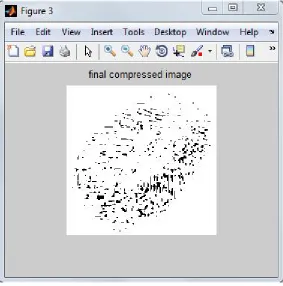 Figure 16: Final compressed image after Run length compression. 