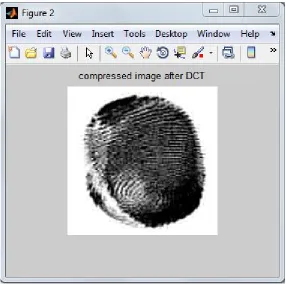 Figure 9: Compressed image after implementation of DCT algorithm over original image.  