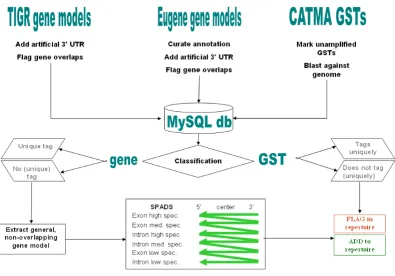 Figure 1Overview of the GST classification and design process yielding the CATMAv3 repertoireOverview of the GST classification and design process yielding the CATMAv3 repertoire