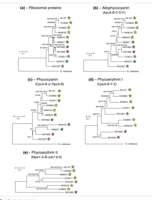 Figure 6 (see legend on next page)
