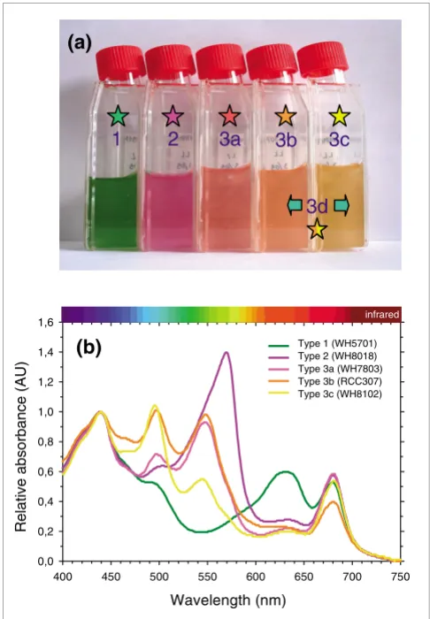 Figure 1The diversity of pigment types among marine 