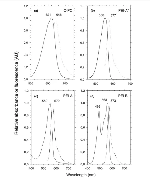 Figure 2Absorption (continuous line) and fluorescence (dotted line) properties of isolated PBP complexes
