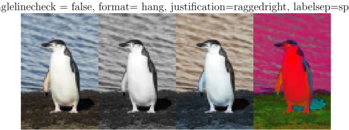 Figure 2.6: Different color spaces on same image. From left to right BGR,GRAY,RGB,HSV color spaces.