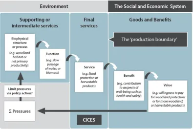 Fig. 2. Cascade diagram: from structure to functions, to services to beneﬁts to value (Potschin and Haines-Young, 2017).