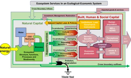 Fig. 3. Beyond the cascade: a dynamic system capturing the complex interactions needed to produce ecosystem services at the regional scale, driven by the ﬂows of energy,matter, and information through the system