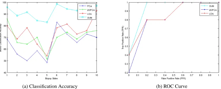 Table 1. SVM (with different Bands) and PCA, 2DPCA, LDA (Band 75) Results