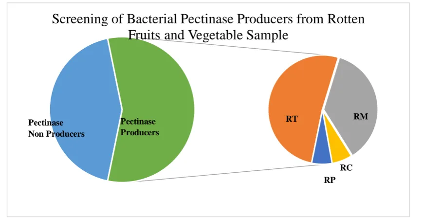 Figure 3: Effect of incubation temperature on pectinase production   