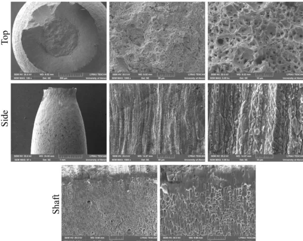 Figure 9: SEM images of the unmodified 304 stainless steel sample 