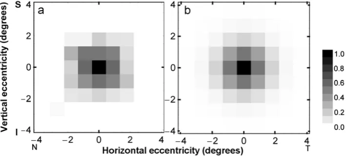 Figure 3. Distribution of polarization pattern perception in visual space. (a) Two-dimensional grey-scale map density