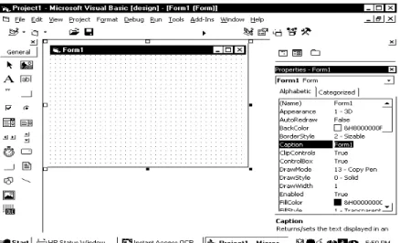 Figure 1: The Visual Basic form 