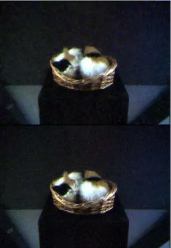 Figure 13. Reconstructed images of "Sleeping cat”. Top: 