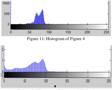 Figure 12: Histogram of the second Figure 5  Step 4: Computation the normalization boundary point 