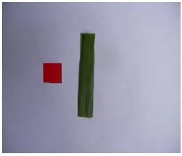 Figure 2.  Original image of sugarcane leaf  